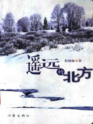 cover image of 遥远的北方(Far North)